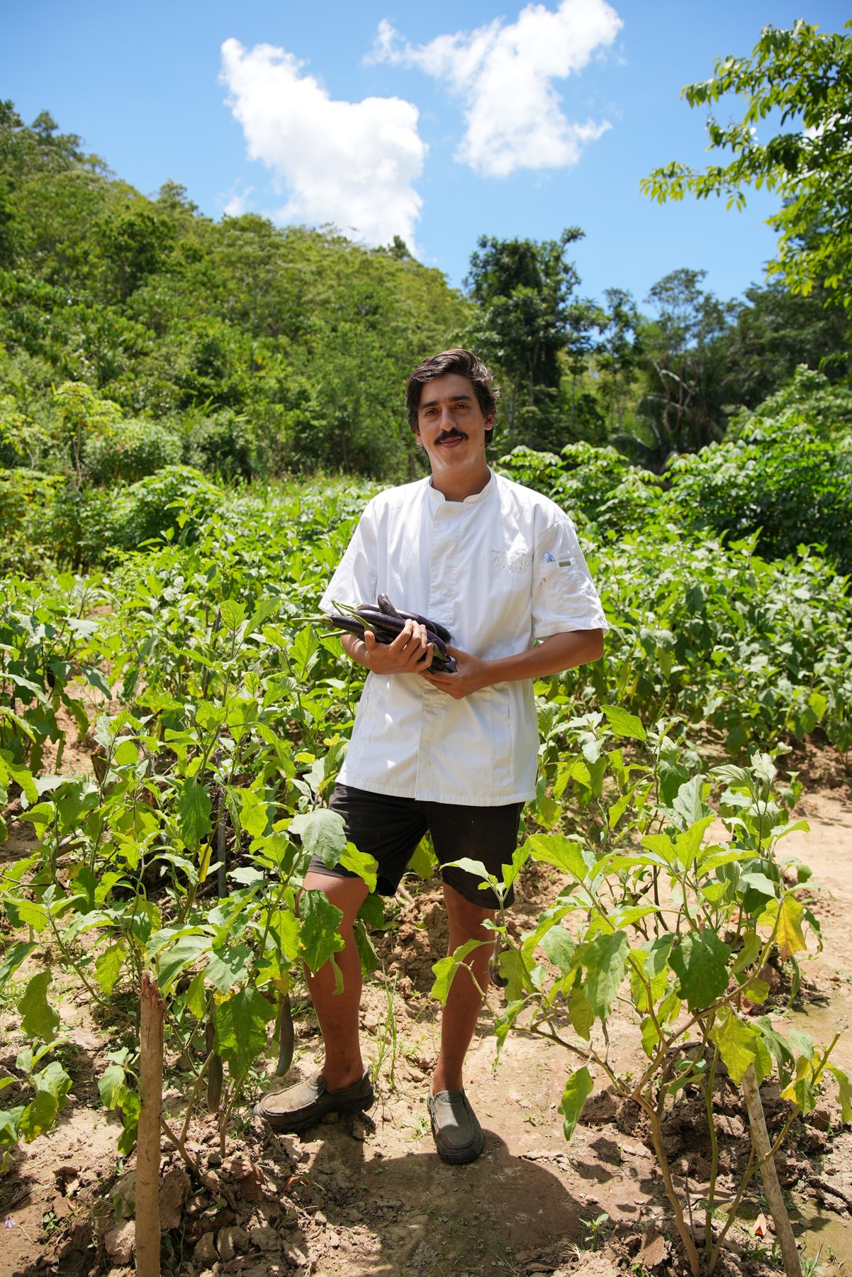 Executive Chef Bautista harvesting at Atalaya's farm in New Ibajay
